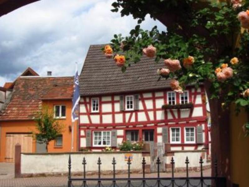 Haus Nostalgie Apartment Kleinheubach Phòng bức ảnh